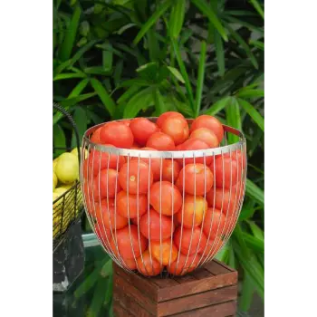 Tomato (21)-1991760-91043.webp
